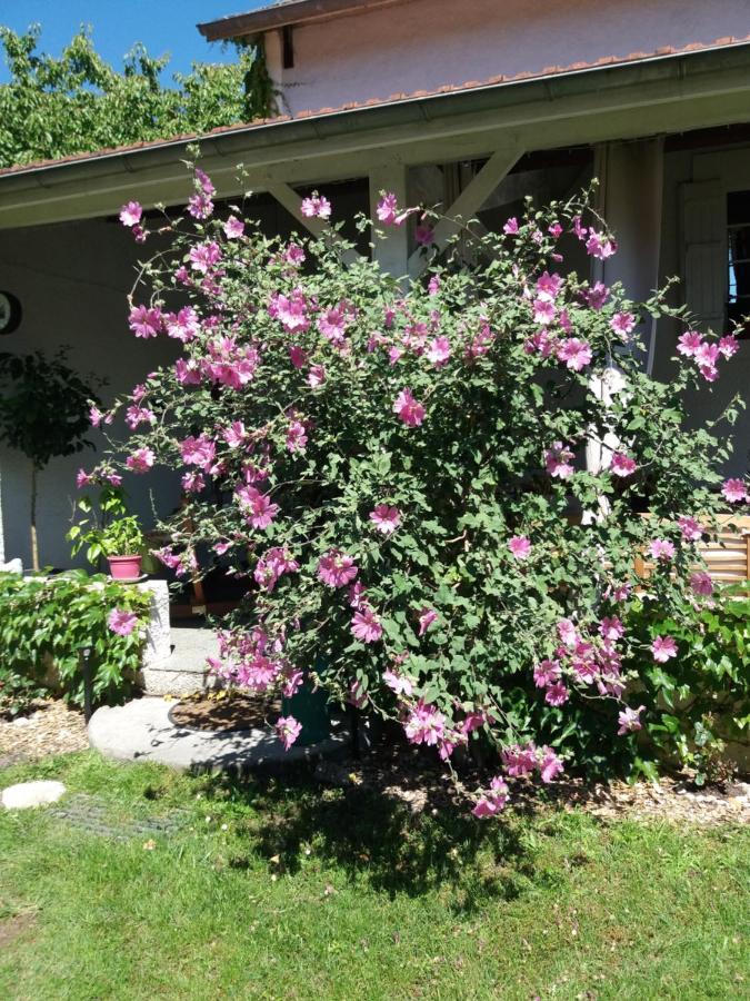 Les Eygletieres Bed & Breakfast Bourriot-Bergonce Eksteriør bilde