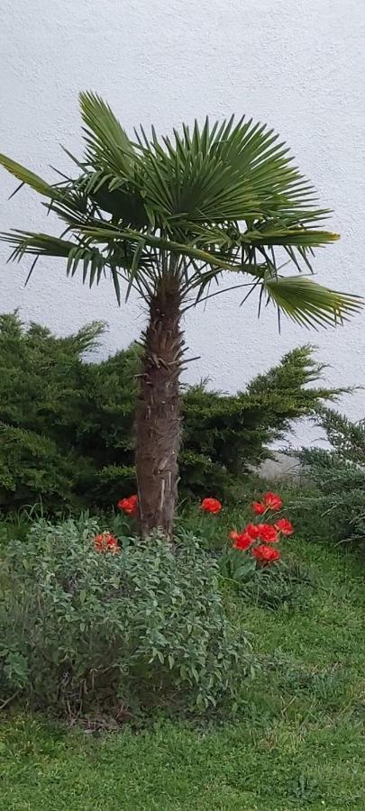 Les Eygletieres Bed & Breakfast Bourriot-Bergonce Eksteriør bilde